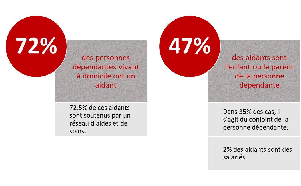 72% des personnes dépendantes vivant à domicile ont un aidant. 72,5% de ces aidants sont soutenus par un réseau d’aides et de soins. 47% des aidants sont l’enfant ou le parent de la personne dépendante. Dans 35% des cas, il s’agit du conjoint de la personne dépendante. 2% des aidants sont des salariés.