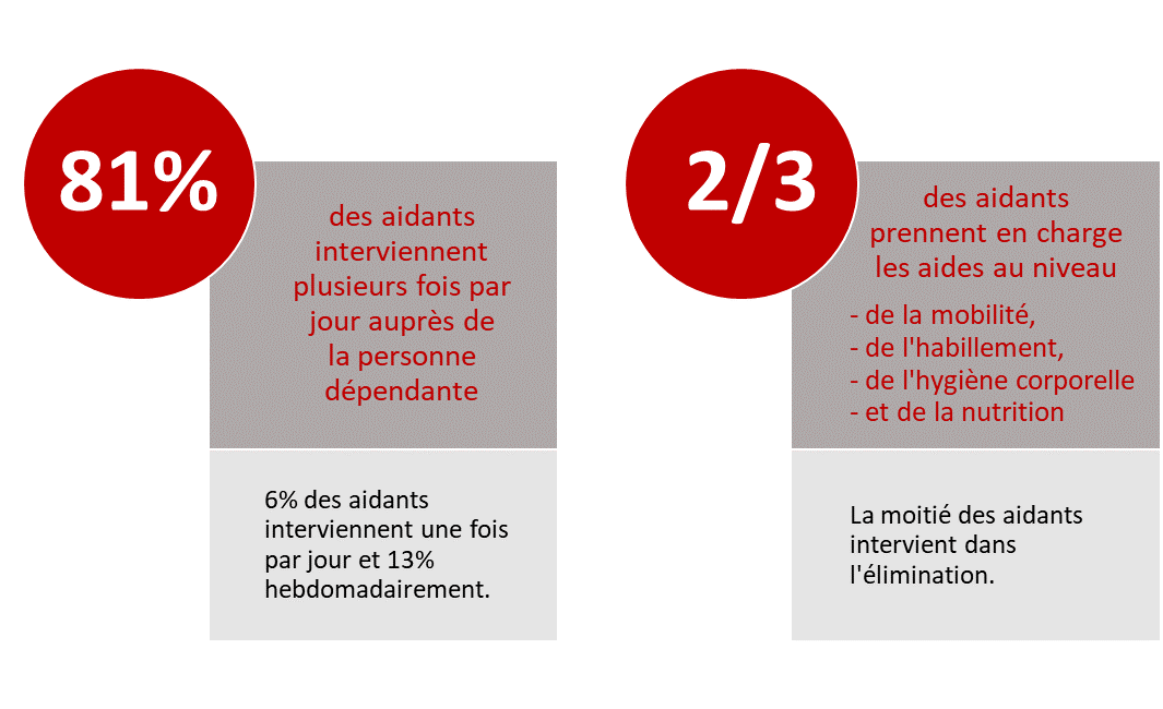 81% des aidants interviennent plusieurs fois par jour auprès de la personne dépendante. 6% des aidants interviennent une fois par jour et 13% hebdomadairement. Deux tiers des aidants prennent en charge les aides au niveau de la mobilité, de l’habillement, de l’hygiène corporelle et de la nutrition. La moitié des aidants intervient dans l’élimination.
