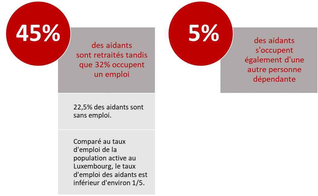 45% des aidants sont retraités tandis que 32% occupent un emploi. 22,5% des aidants sont sans emploi. Comparé au taux d'emploi de la population active au Luxembourg, le taux d'emploi des aidants est inférieur d’un cinquième. 5% des aidants s’occupent également d’une autre personne dépendante.