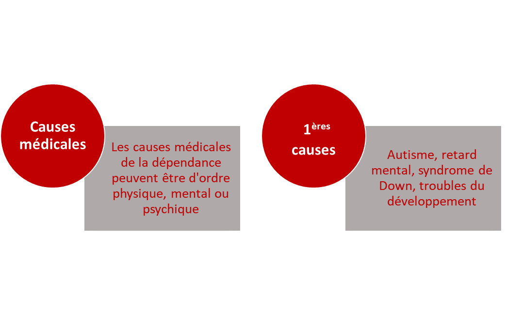 Les causes médicales de la dépendance peuvent être d'ordre physique, mental ou psychique. Parmi les 1ères causes de dépendance figurent l'autisme, le retard mental, le syndrome de Down et les troubles du développement.