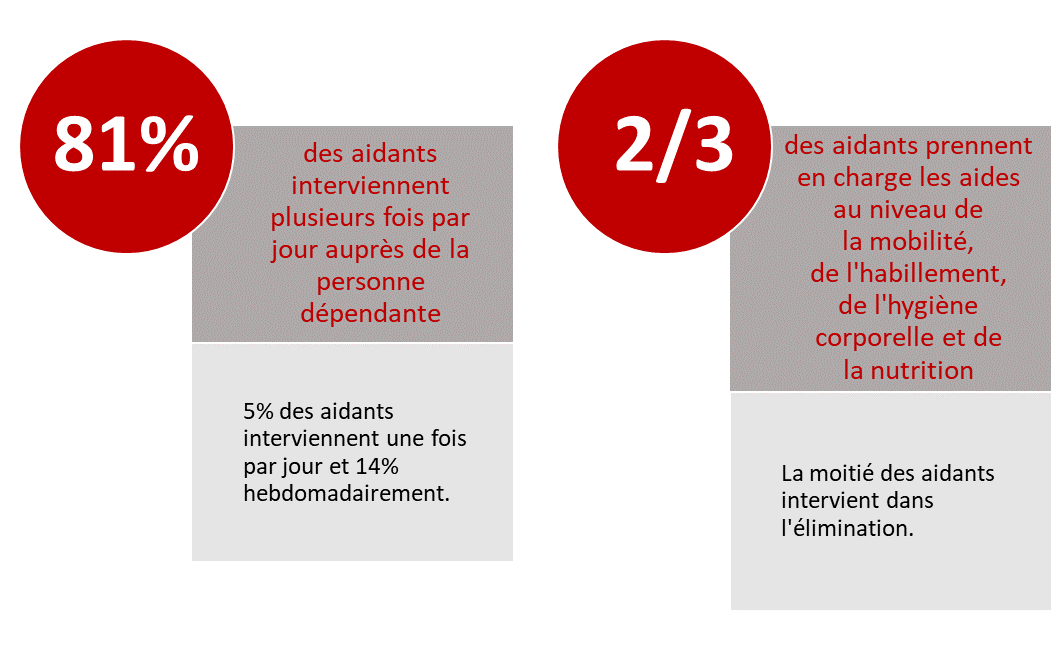 81% des aidants interviennent plusieurs fois par jour auprès de la personne dépendante. 5% des aidants interviennent une fois par jour et 14% hebdomadairement. Deux tiers des aidants prennent en charge les aides au niveau de la mobilité, de l’habillement, de l’hygiène corporelle et de la nutrition. La moitié des aidants intervient dans l’élimination.