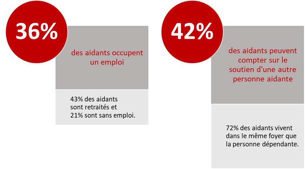 36% des aidants occupent un emploi. 43% des aidants sont retraités et 21% sont sans emploi.  42% des aidants peuvent compter sur le soutien d’une autre personne aidante. 72% des aidants vivent dans le même ménage que la personne dépendante.